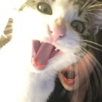 Eylül