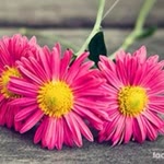 Gizem