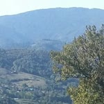 Eda
