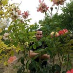 Abdullah