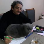Tc Meziyet