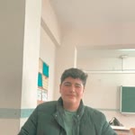 Şahin