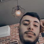 Şahin