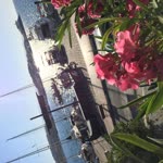 Dilek
