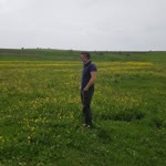 Arslan