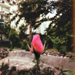 Melike