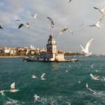 Zeynep