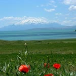 Oğuz