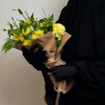 Nurcan