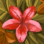 Nahide