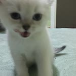 Toprak