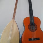 Havva