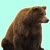 profile-icon