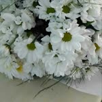 Dilek