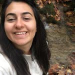Birgül