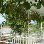Olcay