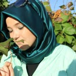 Elif