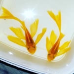 Lalahan