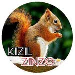 Zinzap