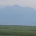 Dilşat