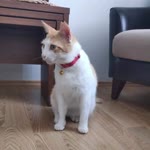 Güler