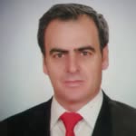Şahin