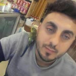 Ferit
