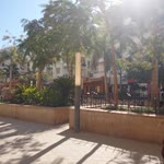 Samera