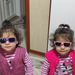 Şahin