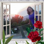 Aylin