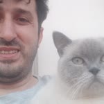 Erol