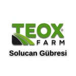 Teox