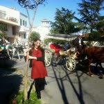 Pelin