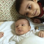 Seher