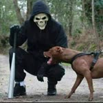 Kerim