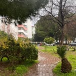 Ezgi