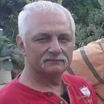 Mejdi