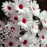 Meryem