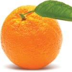Tolga