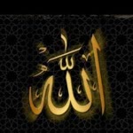 Sultan