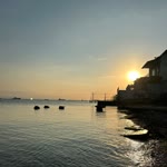 Şeydanur