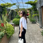 Elif
