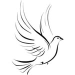 Birkan