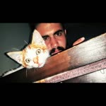 Alper
