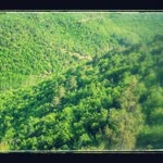 Orhan