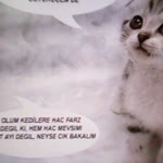 Burak