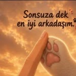 Sibel