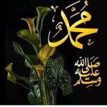 Seher