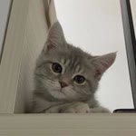 Emrah