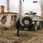 Mahmut